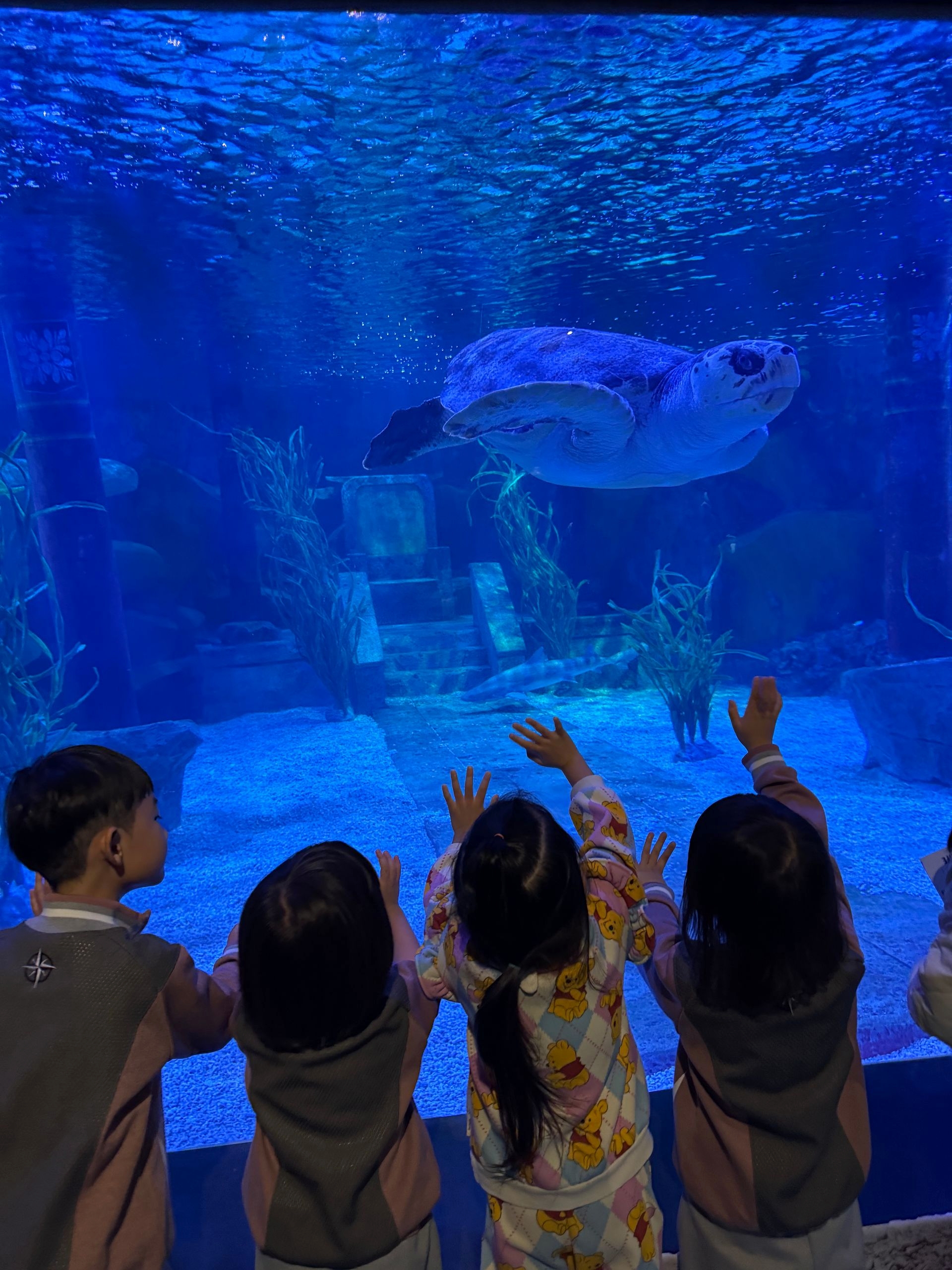 아쿠아리움 현장체험학습